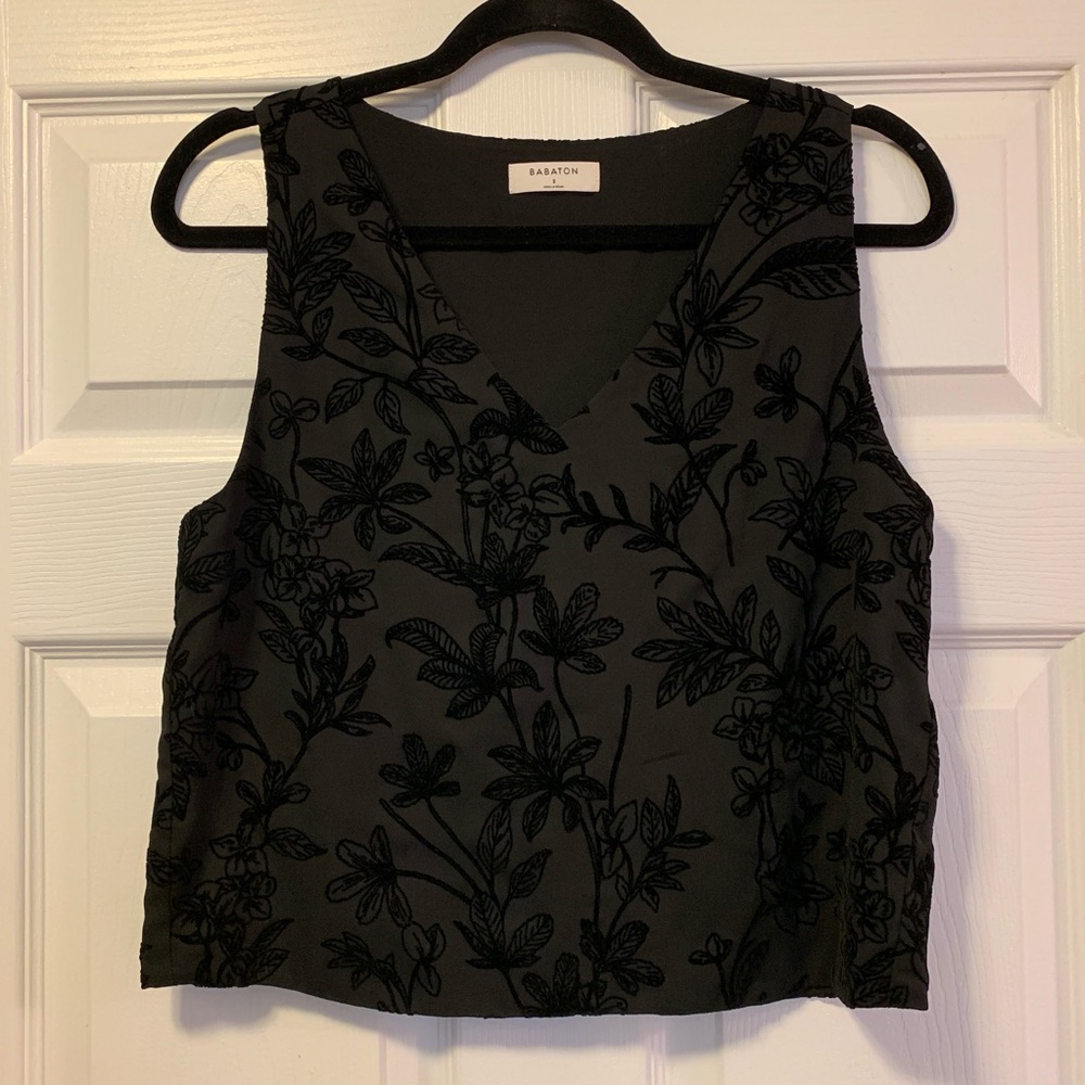 Aritzia Babaton Murphy Sleeveless Blouse